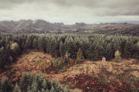 521196B7-C99C-4993-A756-D4F8020ED434_1_105_c.jpeg
