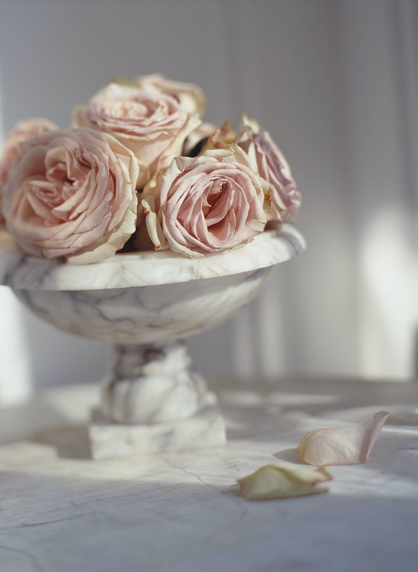 032_R_MarbleBowlWPinkRosesOnMarbleTable.jpg