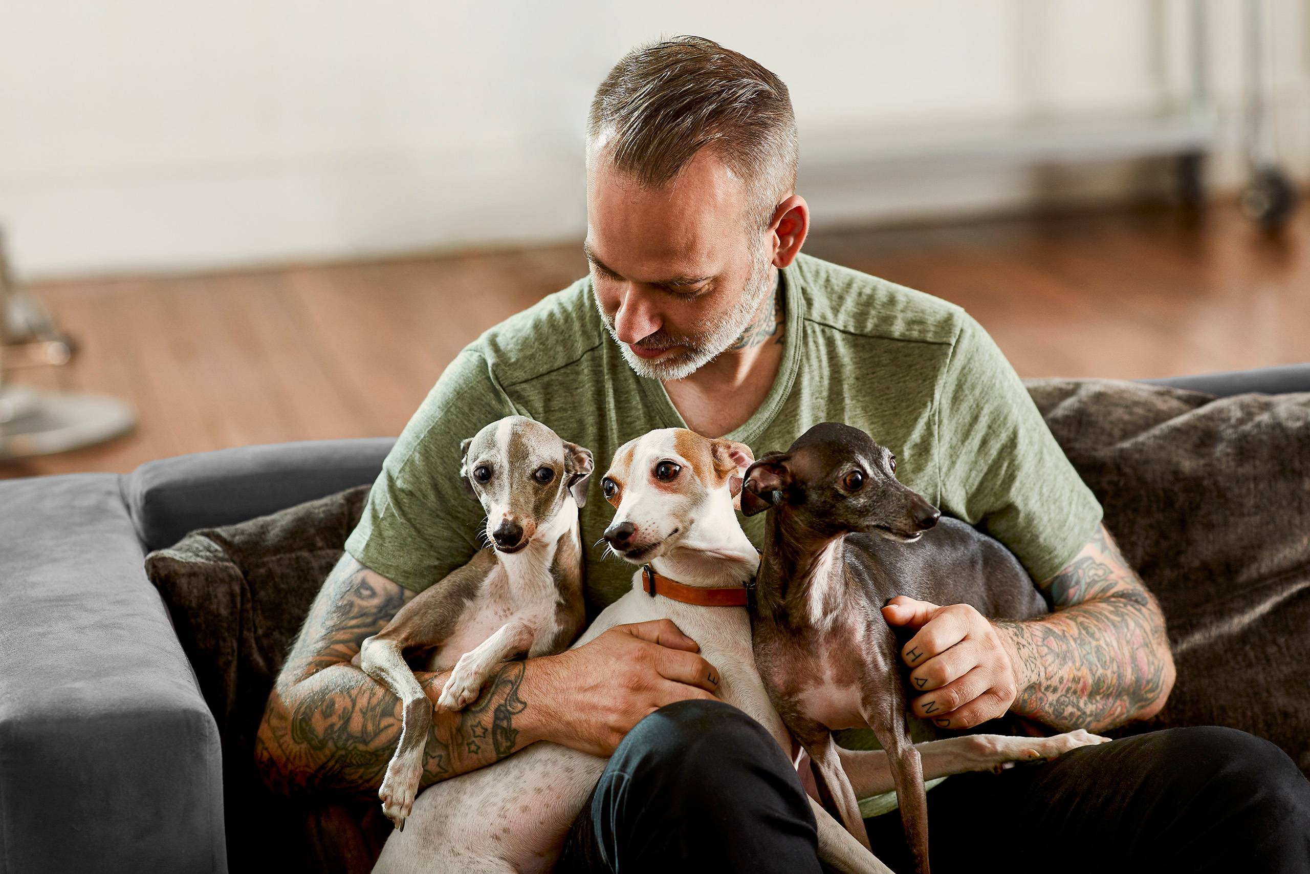 Mike_Josie_Greyhounds_556.jpg