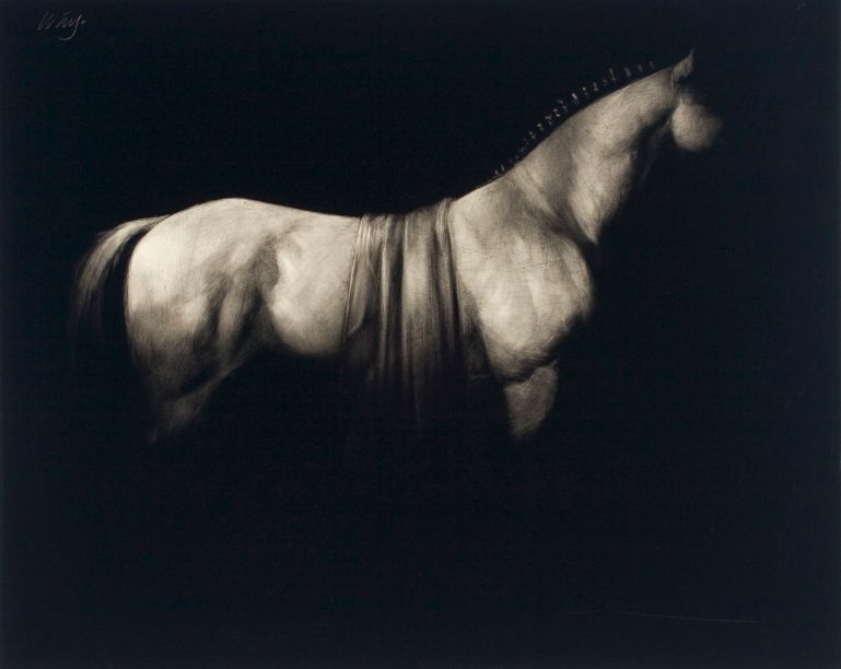 Dark Horse No.1 - Artist: James McLaughlin Way