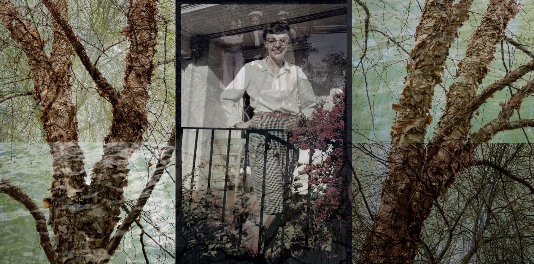 Archival Pigment print on photo rag paper   24' x40" Family Tree