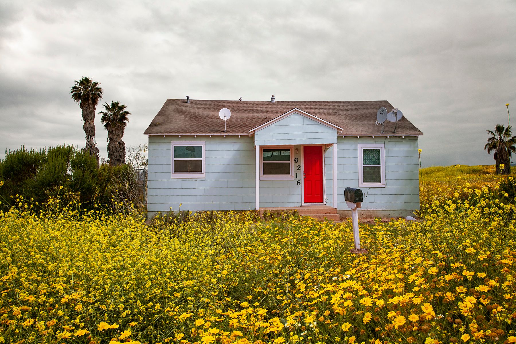 americana No Place Like Home