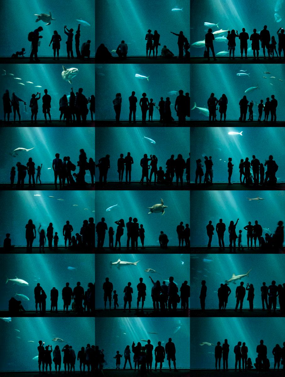 Dye Sublimation print on metal  45" x60" Underwater
