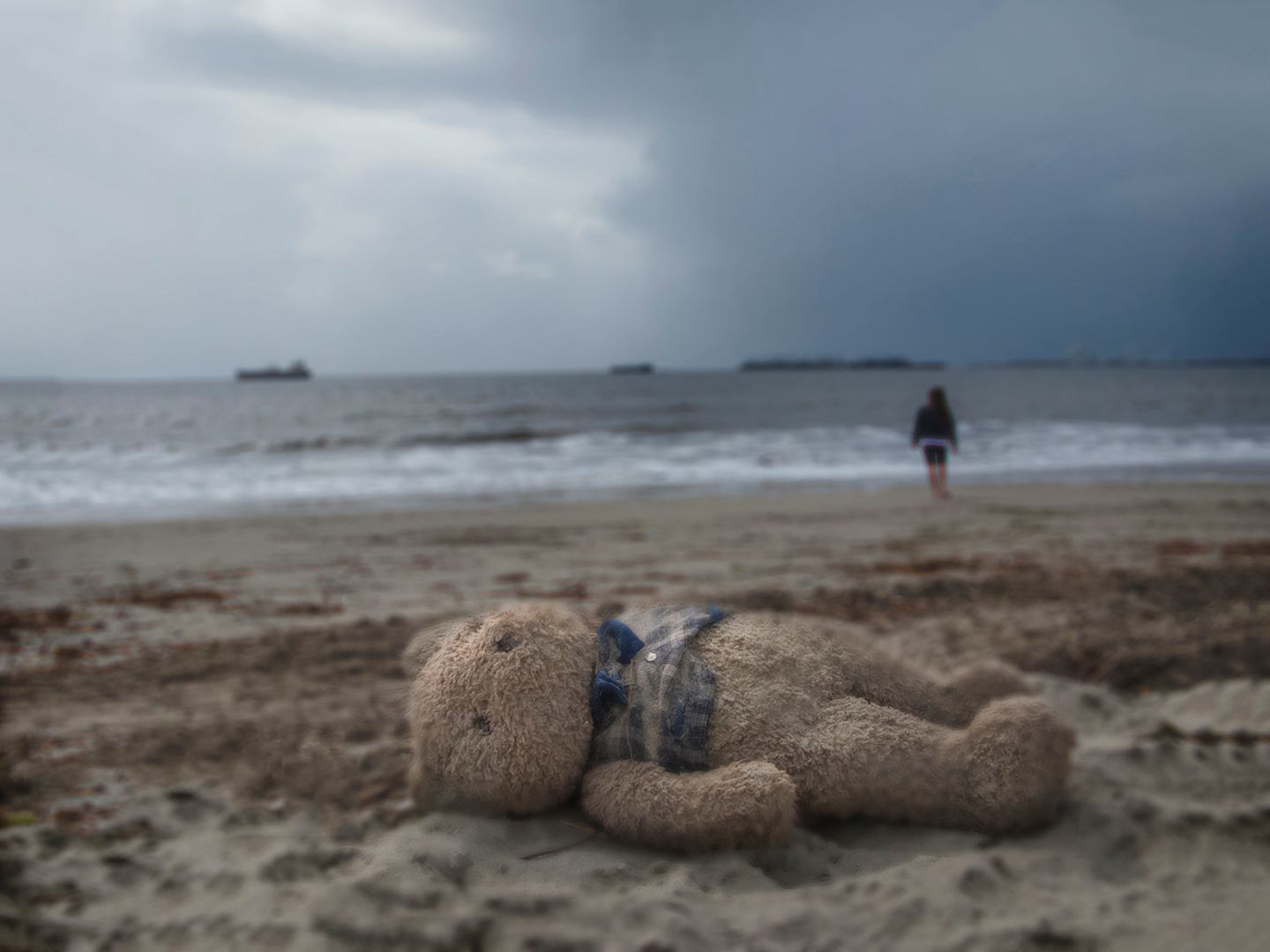 Beached Bear (Santa Monica, CA)