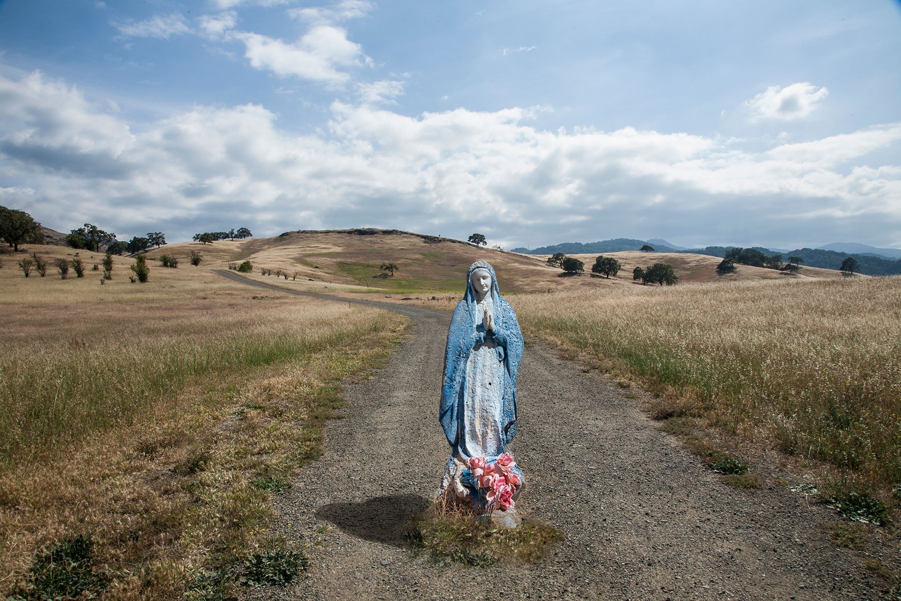 Mary in Field