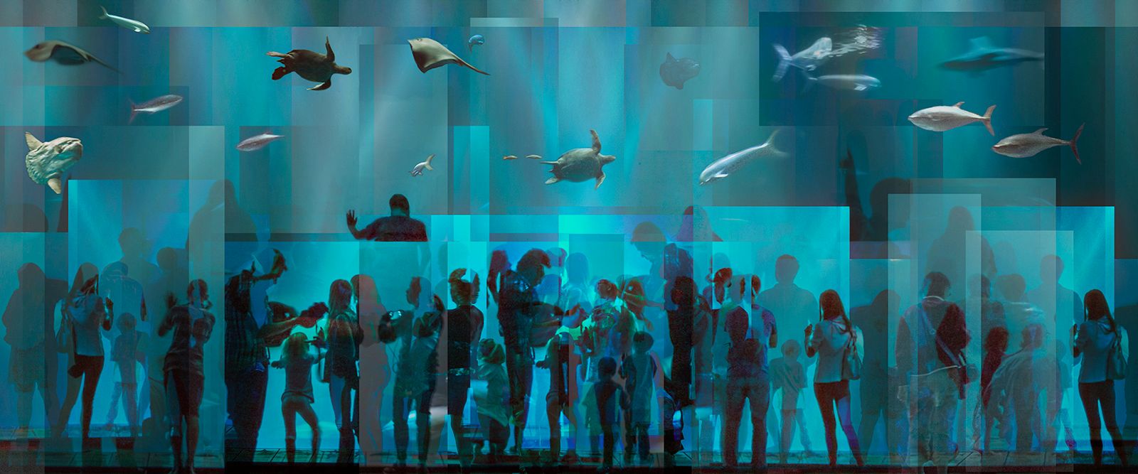 Archival Pigment print- 20" x 48" Swim with the Fish #4