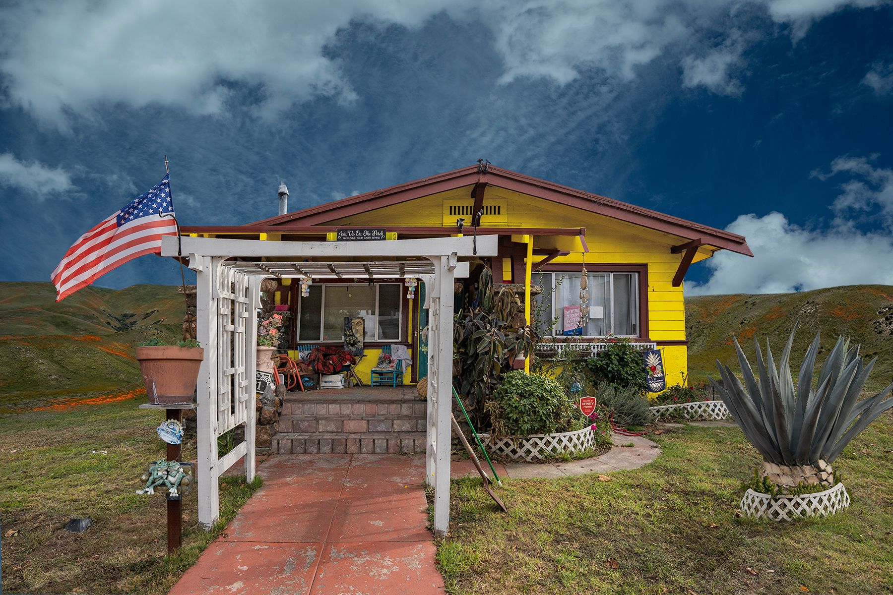 Archival Pigment print on photo rag paper Frog Friends House