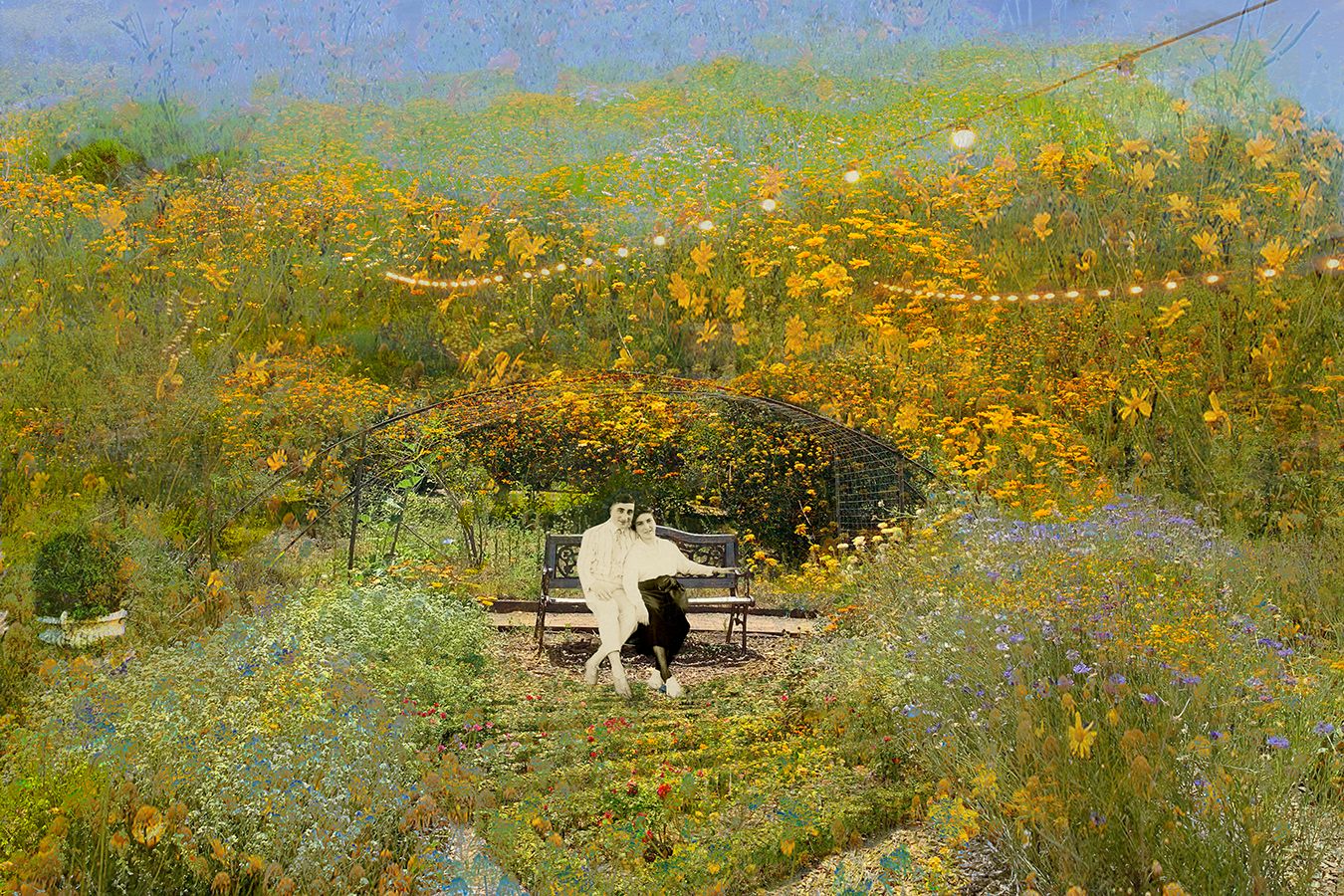 Archival Pigment print on photo rag paper  20" x 30" The Perfect Day