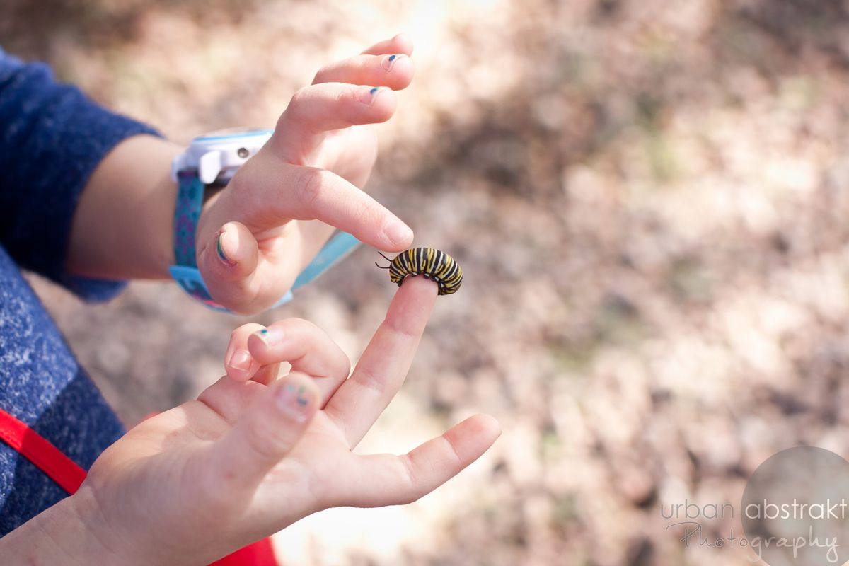 Tucson child portrait photography