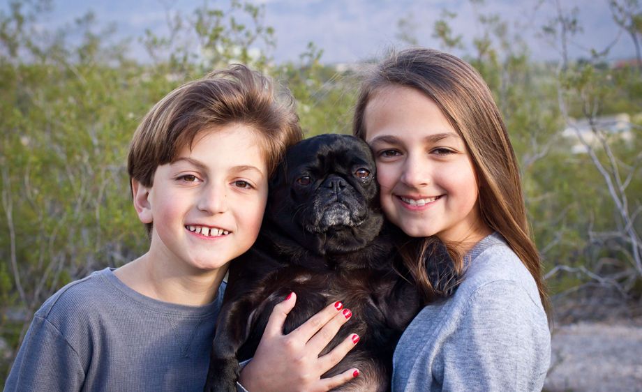 Tucson dog portrait photography