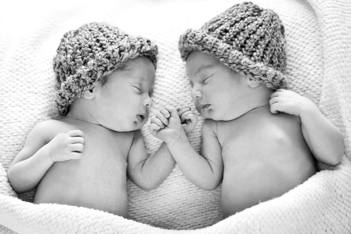 Tucson newborn twin baby photography