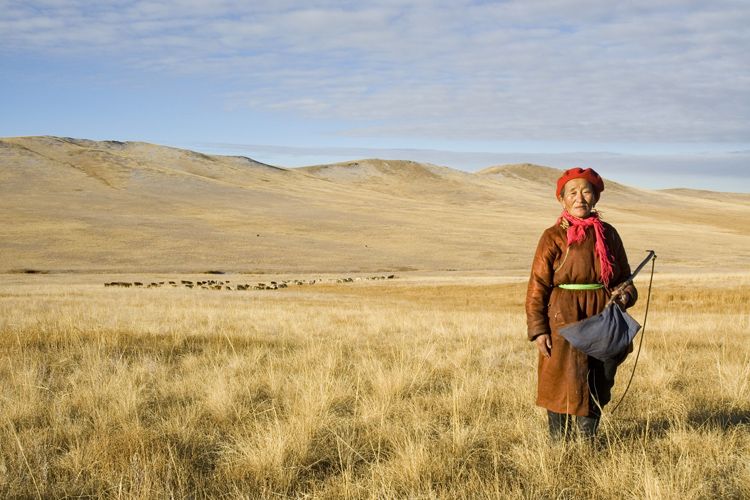 Khustain National Park, Mongolia