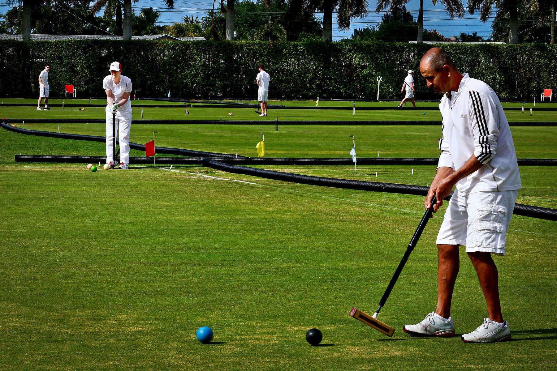 1_0_439_1sm_croquet_18highres.jpg