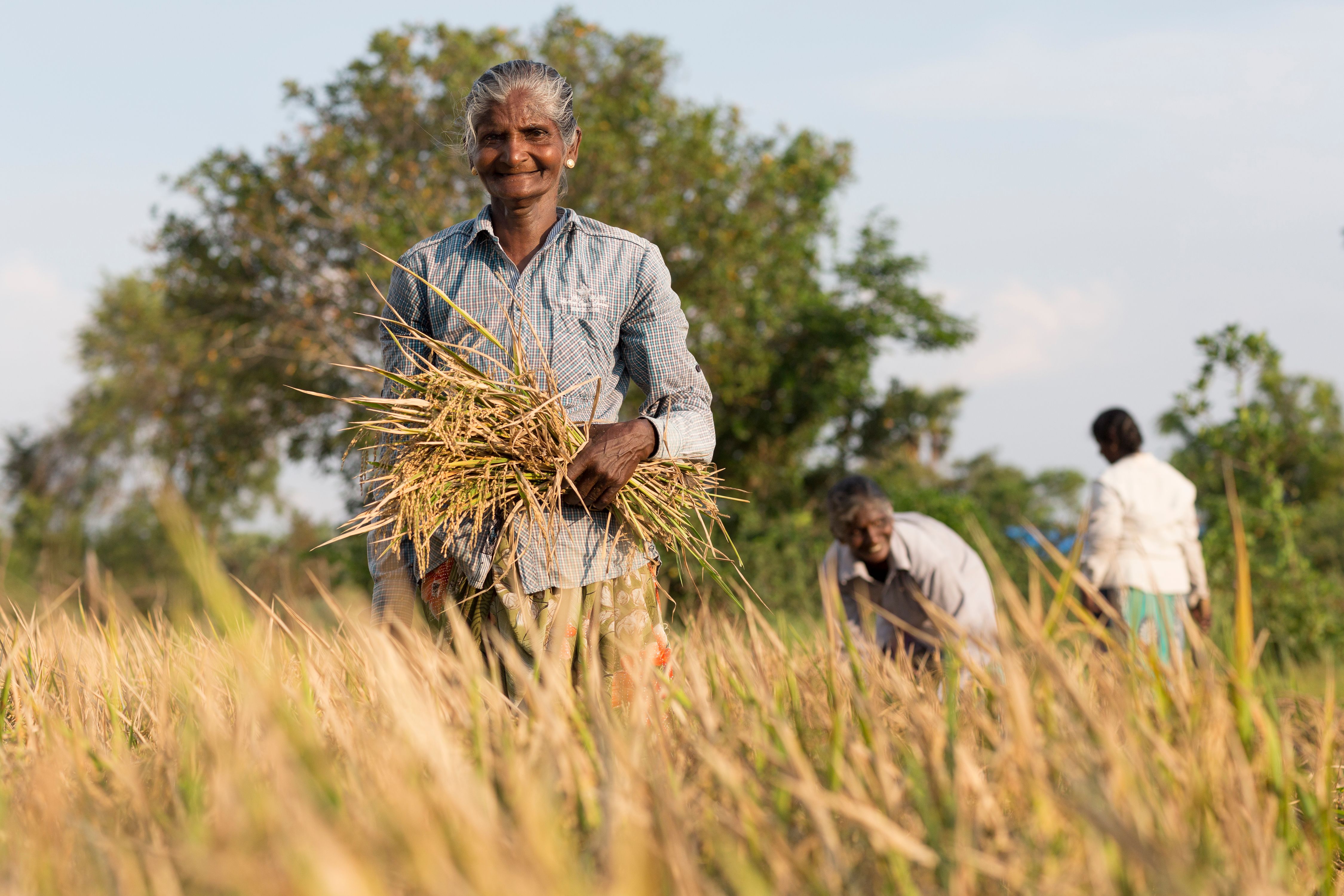 Stories of Hope - CRS Stories of Hope