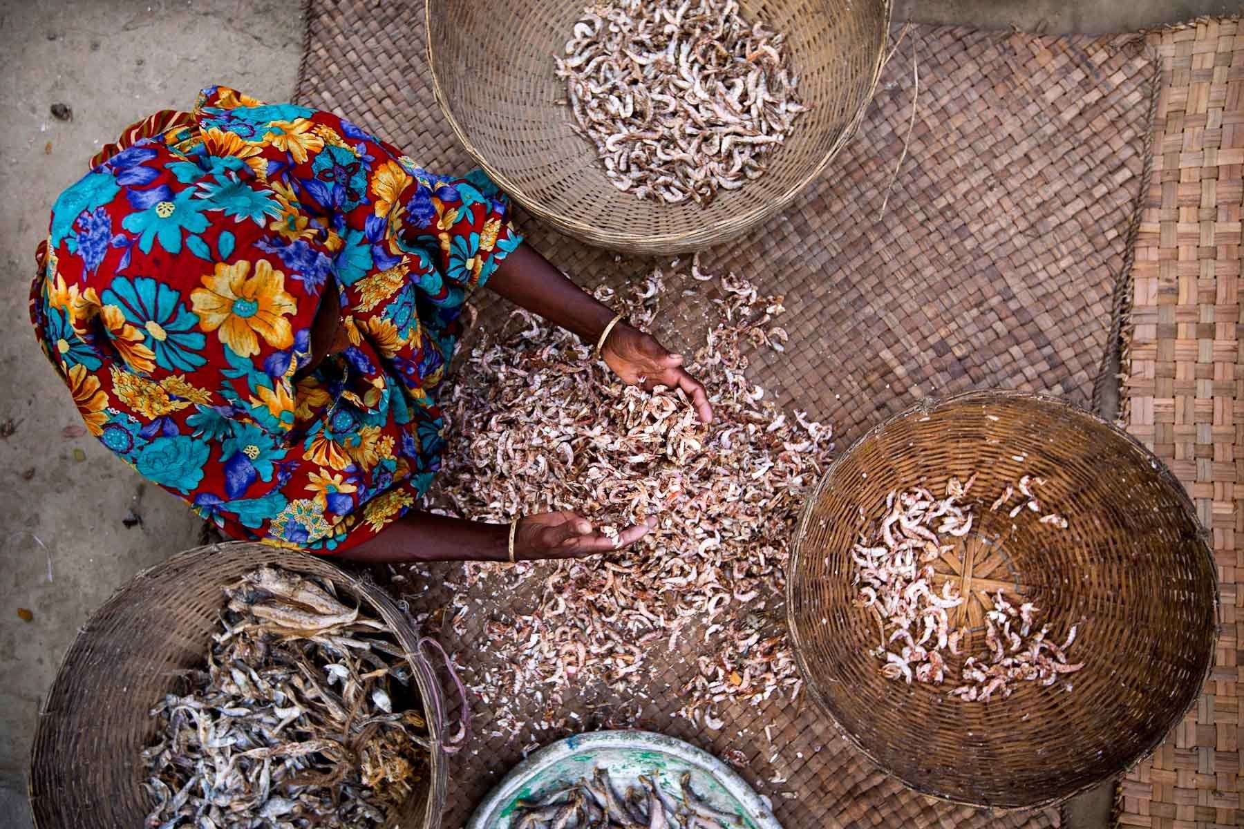 Food Security - Dried Fish, Najibpur Village, Bangladesh