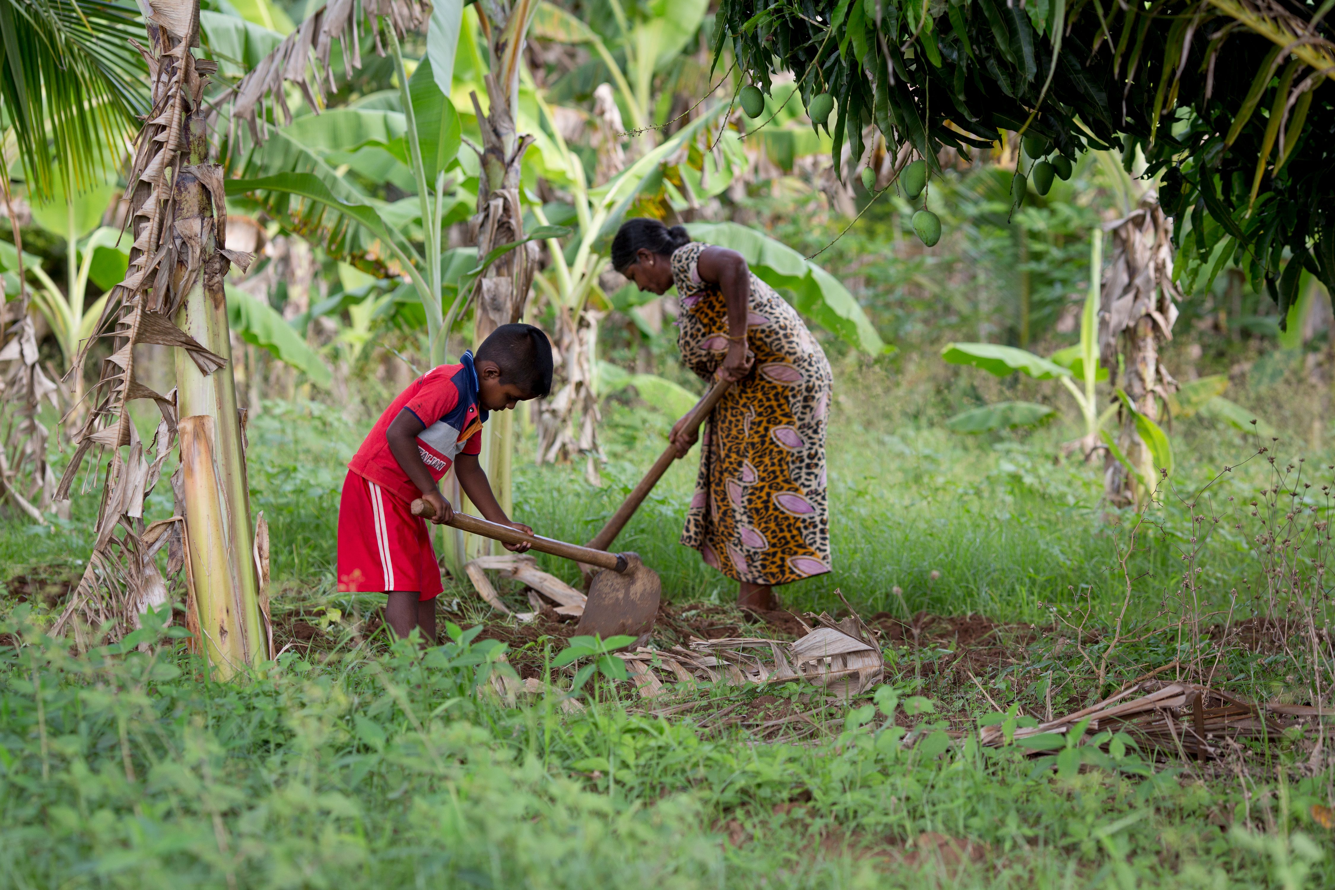 Stories of Hope - CRS in Sri Lanka