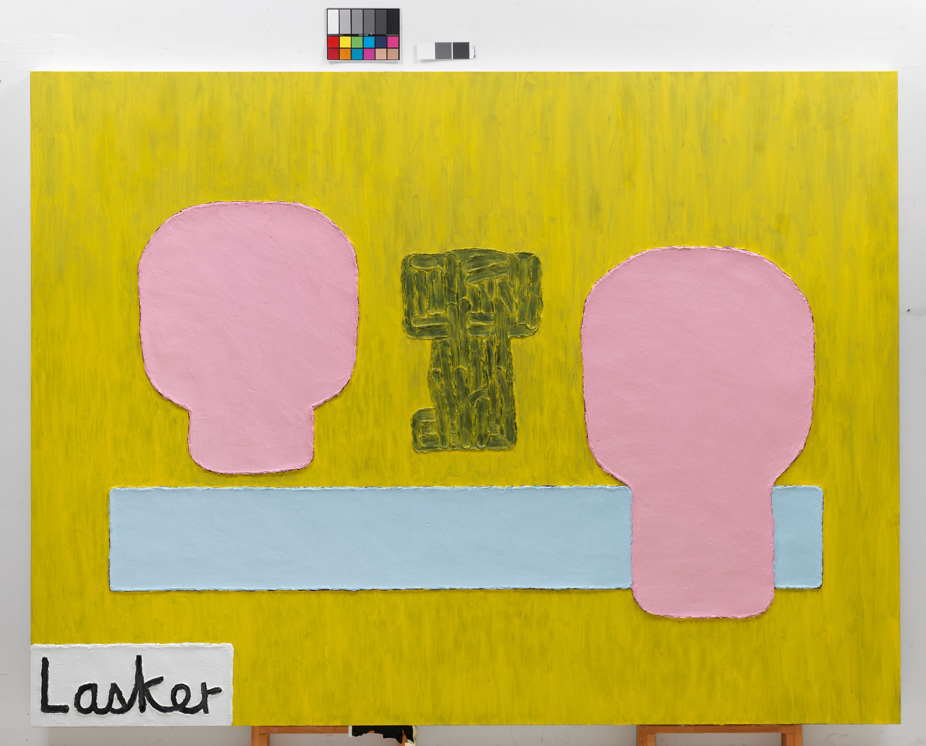 color charts with Lasker.jpg