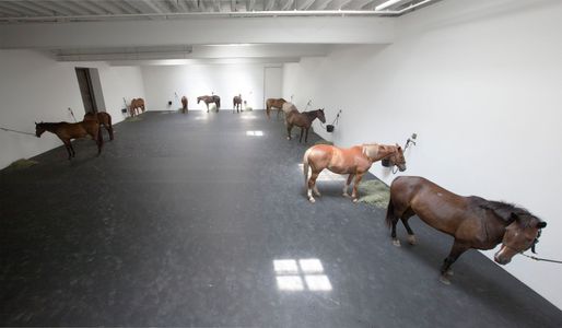 12 Horses, Jannis Kounellis
