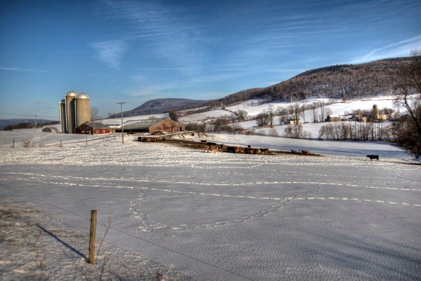 1IMG_8134_5_6_tonemapped