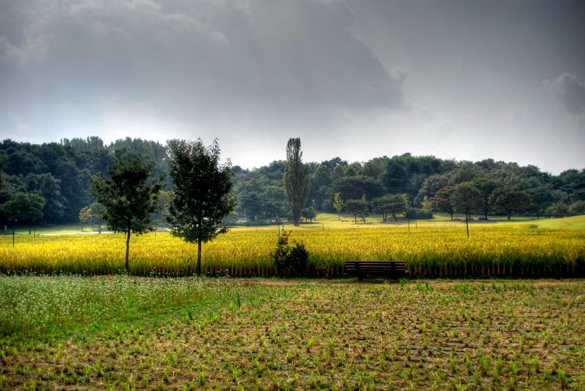 1DSC_0147_8_9_tonemapped