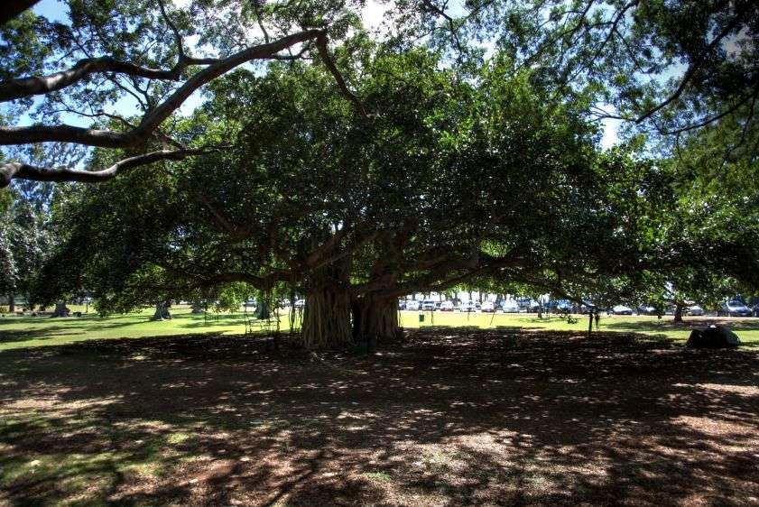 1IMG_9742_3_4_tonemapped