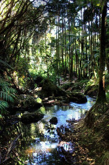 1IMG_1434_5_6_tonemapped