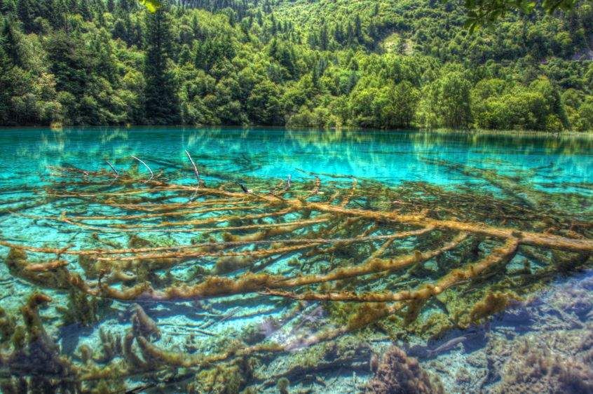 1IMG_8038_39_40Enhancer