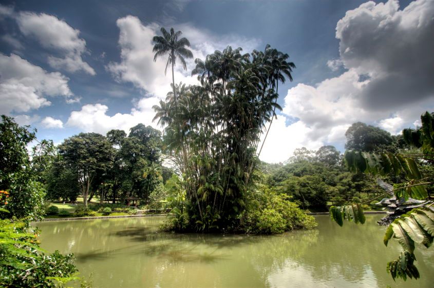 1IMG_1676_7_8_tonemapped