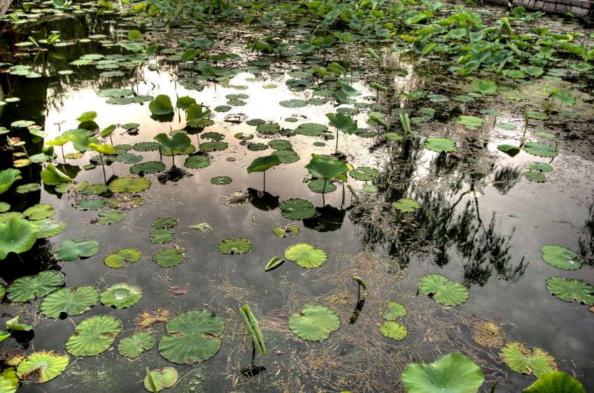 1img_6418_19_20_tonemapped