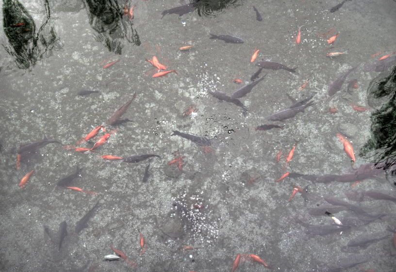 1img_5706_7_8_tonemapped