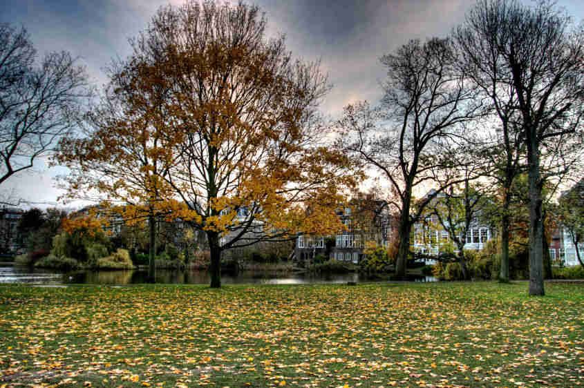 1IMG_3587_8_9_tonemapped