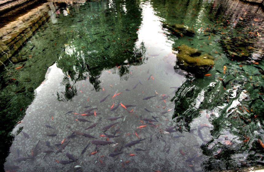 1img_5709_10_11_tonemapped