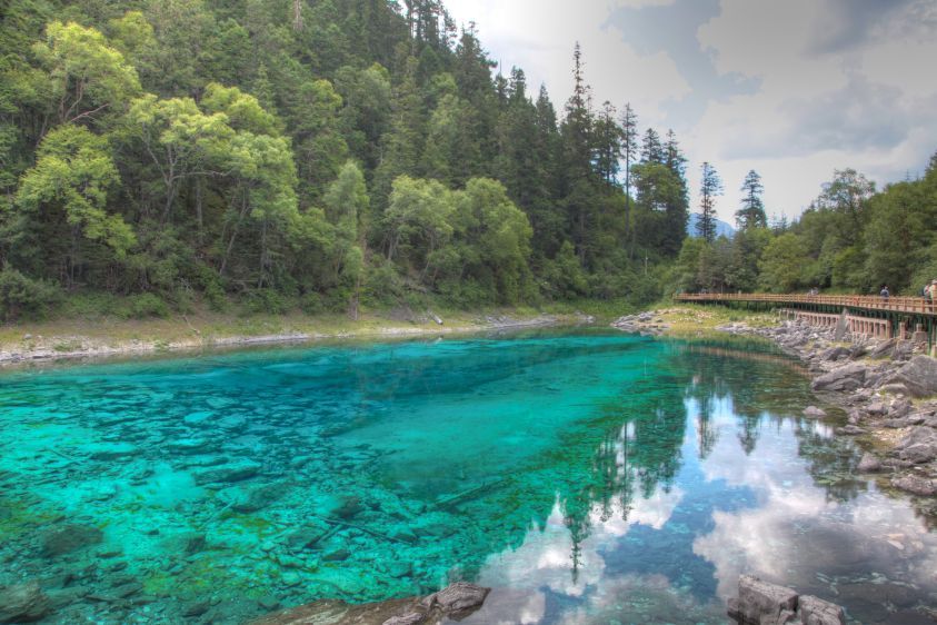 1IMG_8328_29_30Enhancer