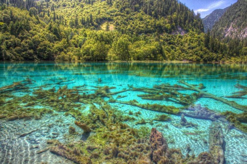 1IMG_8032_3_4Enhancer