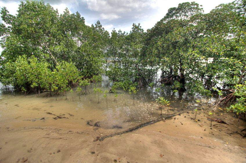 1IMG_1222_3_4_tonemapped