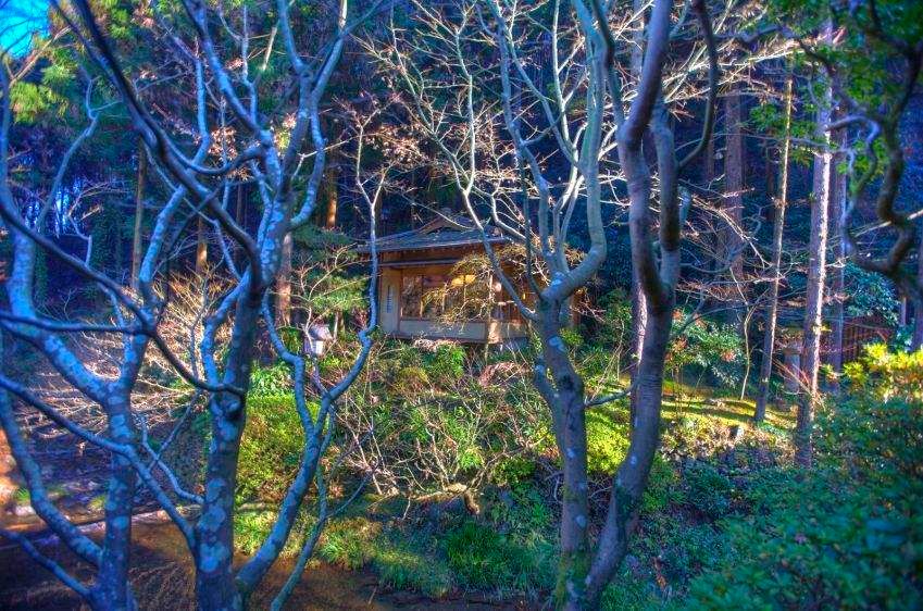 1HDR_with_blue_trees