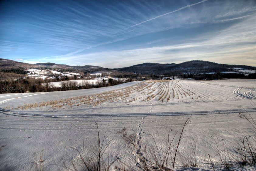 1IMG_8146_7_8_tonemapped