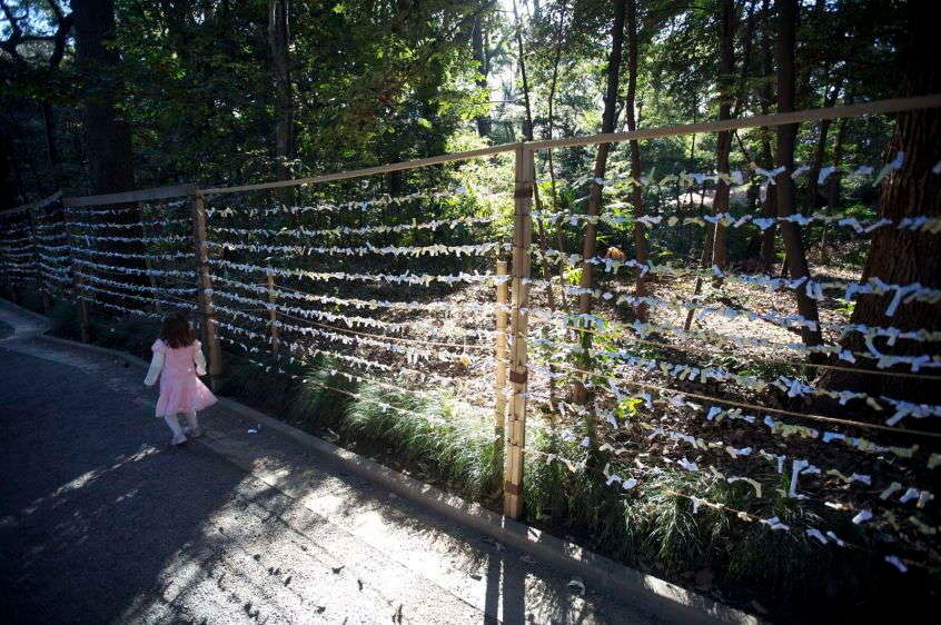 1Girl_near_the_paper_fence