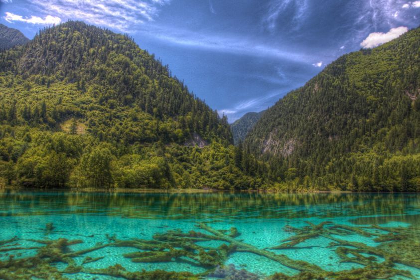 1IMG_8029_30_31Enhancer