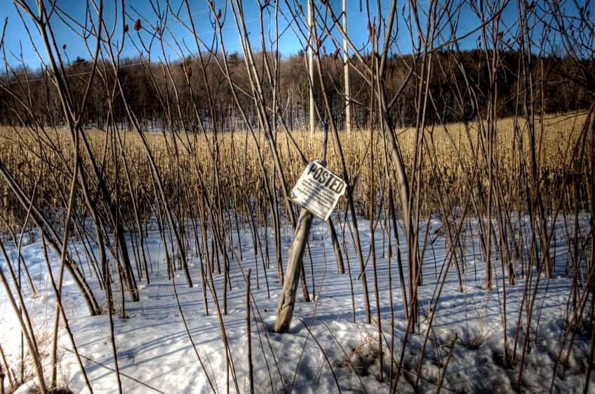 1IMG_8194_5_6_tonemapped