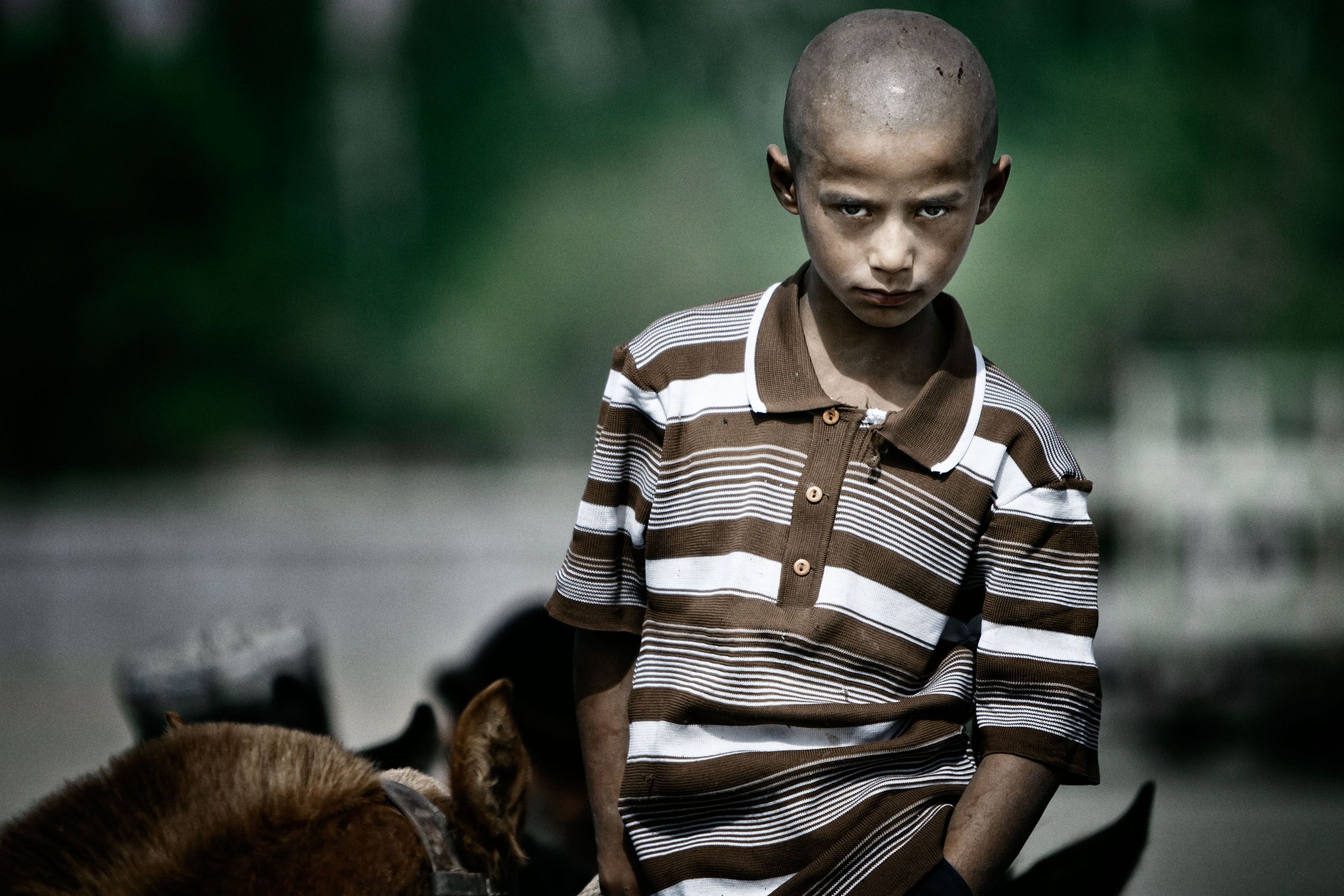 W5 3 Nov 2016 - JB8.jpg