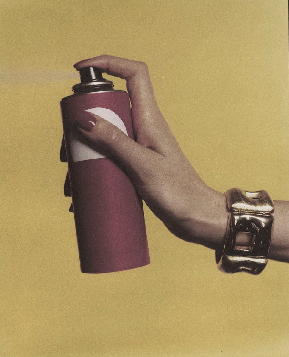 Roy Liechtenstein 2 by Elfie Semotan