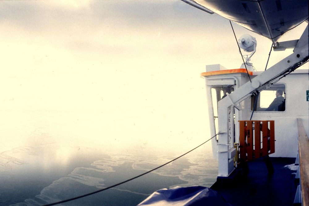 Jacqueline Mia Foster Photography