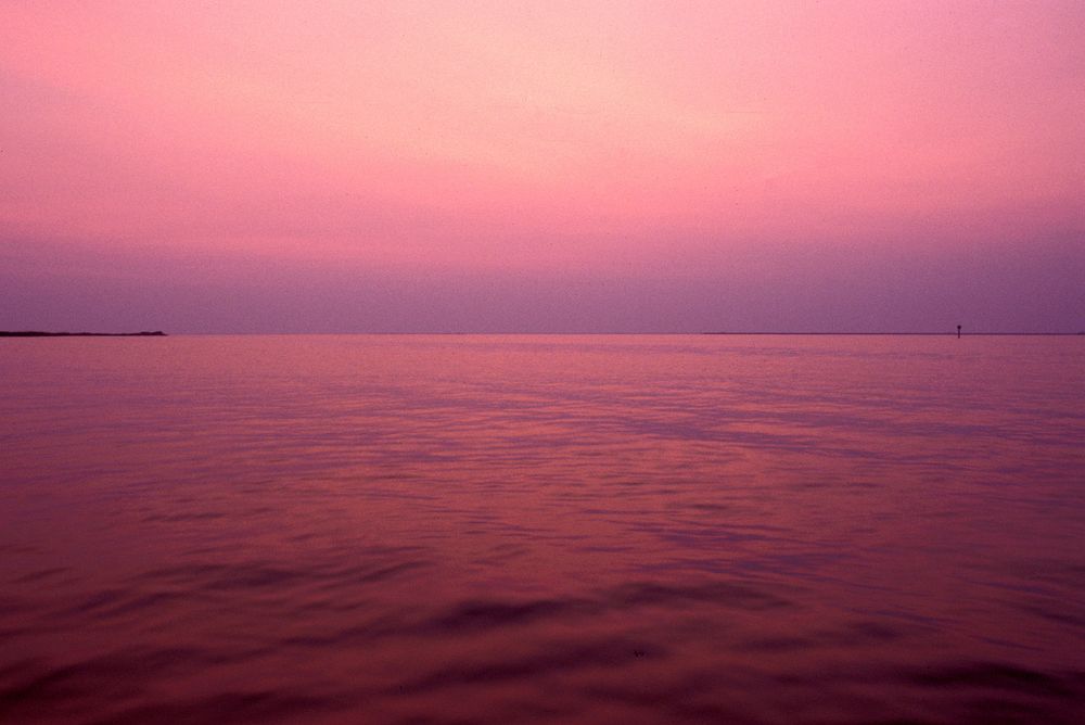 Jacqueline Mia Foster Photography