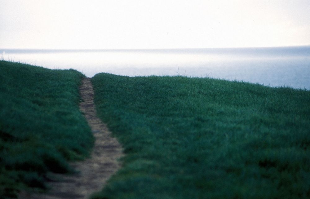 Jacqueline Mia Foster Photography