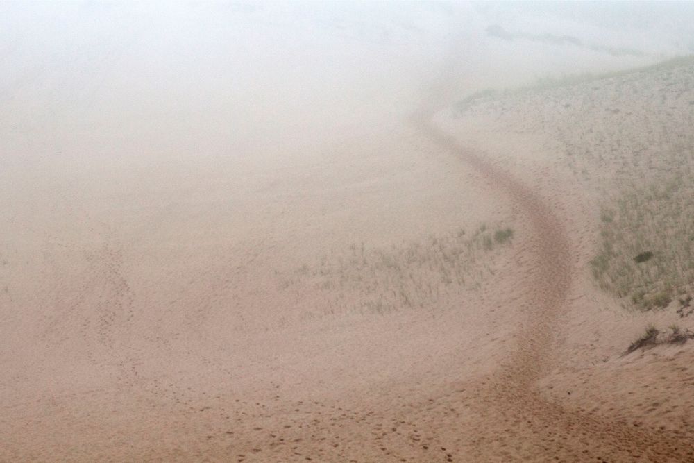 Jacqueline Mia Foster Photography