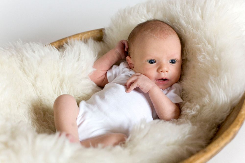 Jacqueline Mia Foster Photography