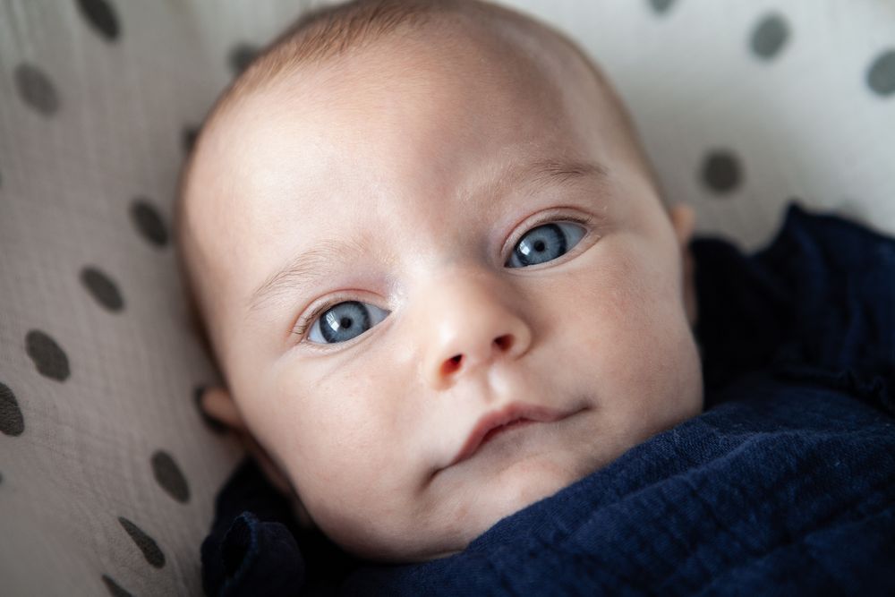 Brooklyn Baby, Brooklyn Newborn Session