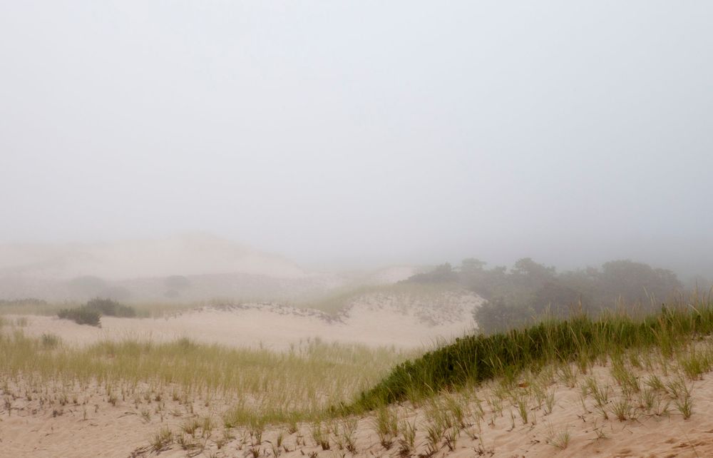 Jacqueline Mia Foster Photography