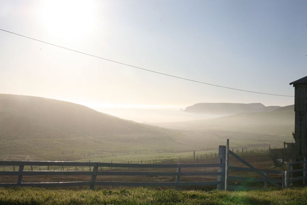 Jacqueline Mia Foster Photography